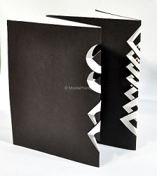Books-Woven Spine Black and White Pair